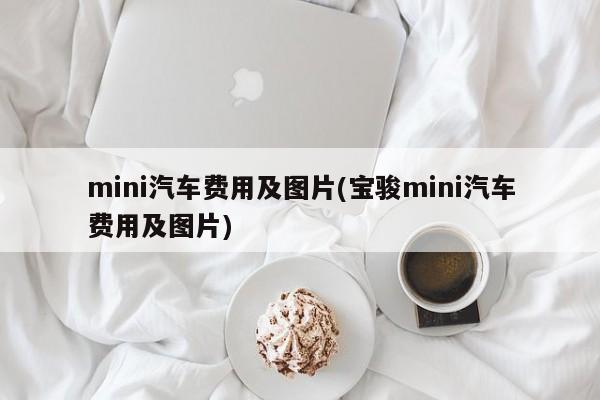 mini汽车费用及图片(宝骏mini汽车费用及图片)