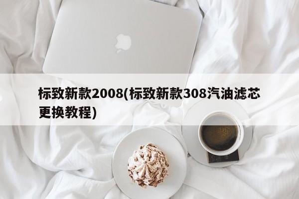 标致新款2008(标致新款308汽油滤芯更换教程)
