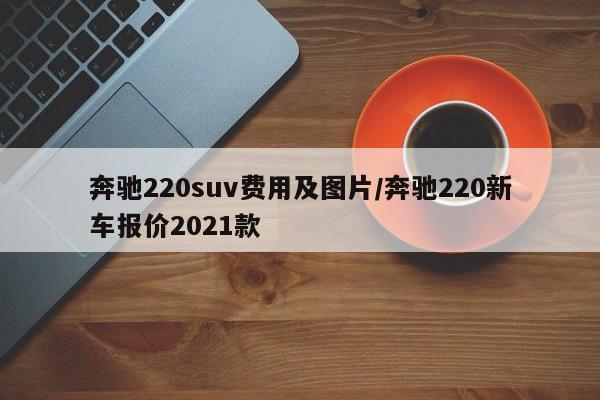 奔驰220suv费用及图片/奔驰220新车报价2021款