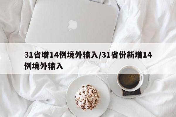 31省增14例境外输入/31省份新增14例境外输入
