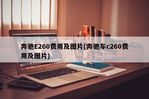 奔驰E260费用及图片(奔驰车c260费用及图片)