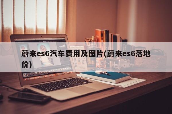 蔚来es6汽车费用及图片(蔚来es6落地价)